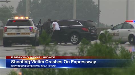 Pedestrian fatally struck on Stevenson Expressway